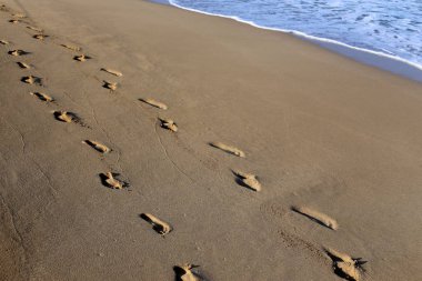 Kumdaki Kuzey İsrail ' Akdeniz'in kıyısında 