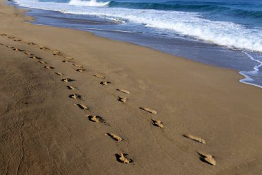 Kumdaki Kuzey İsrail ' Akdeniz'in kıyısında 