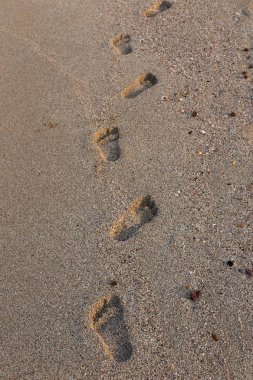 Kumdaki Kuzey İsrail ' Akdeniz'in kıyısında 
