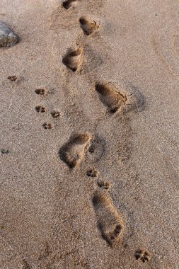 Kumdaki Kuzey İsrail ' Akdeniz'in kıyısında 