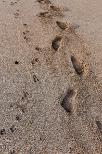 Kumdaki Kuzey İsrail ' Akdeniz'in kıyısında 