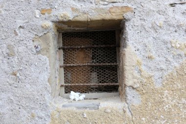 İçine belgili tanımlık oda ve havalandırma ışık almak için hizmet duvarda bir pencere açıyor. 