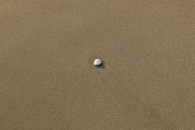 İsrail 'in kuzeyindeki Akdeniz kıyısında. 