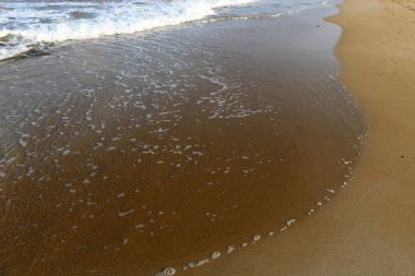 İsrail 'in kuzeyindeki Akdeniz kıyısında. 