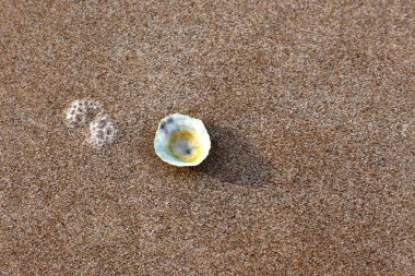 İsrail 'in kuzeyindeki Akdeniz kıyısında. 