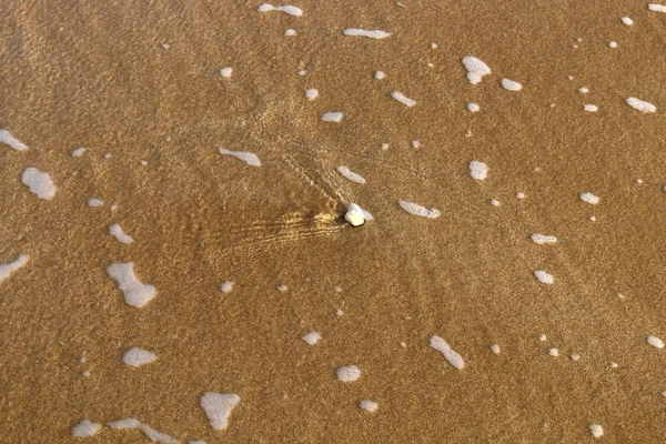 Côte Mer Méditerranée Nord Israël — Photo