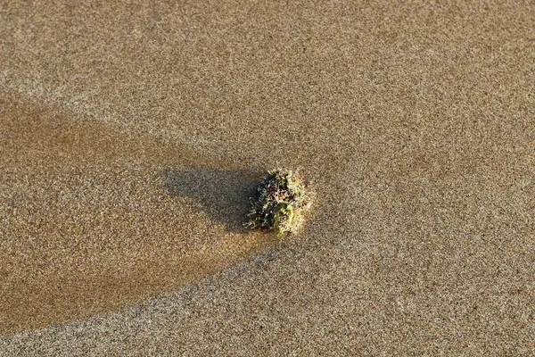 Costa Mar Mediterrâneo Norte Israel — Fotografia de Stock