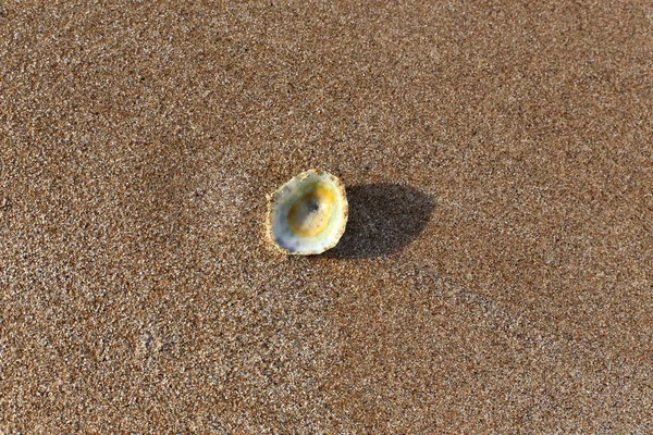 Costa Mar Mediterrâneo Norte Israel — Fotografia de Stock