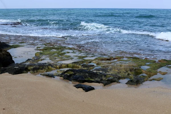 イスラエル北部の地中海沿岸では — ストック写真