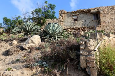 Haçlılar İsrail eski kale kalıntıları 