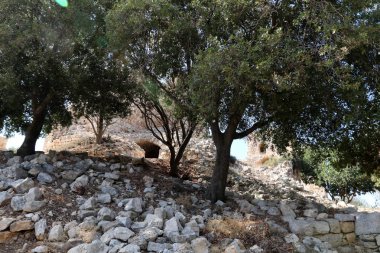 Haçlılar İsrail eski kale kalıntıları 