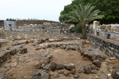 Haçlılar İsrail eski kale kalıntıları 