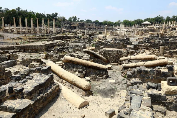 Die Ruinen Der Antiken Festung Der Kreuzritter Israel — Stockfoto