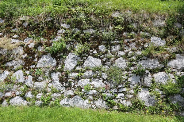 Die Ruinen Der Antiken Festung Der Kreuzritter Israel — Stockfoto