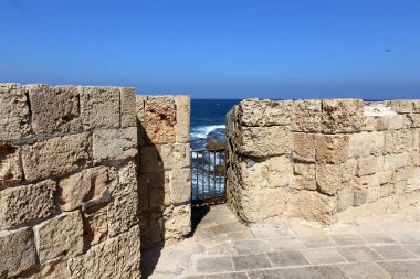 Eski kasaba Acre Akdeniz kıyısında, İsrail'in Kuzey Limanı 