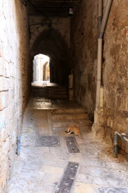 Eski kasaba Acre Akdeniz kıyısında, İsrail'in Kuzey Limanı 