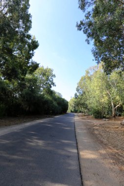 İsrail 'in kuzeyindeki dağlarda yol 