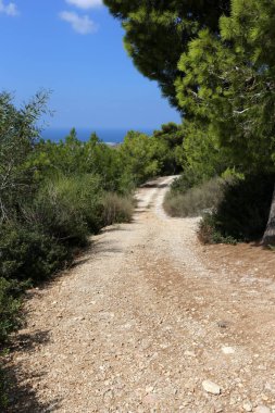 İsrail 'in kuzeyindeki dağlarda yol 