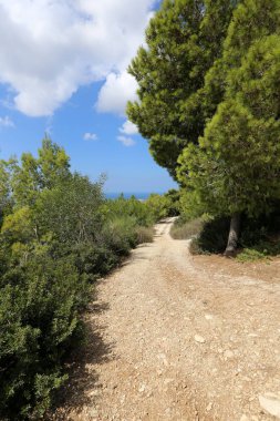 İsrail 'in kuzeyindeki dağlarda yol 
