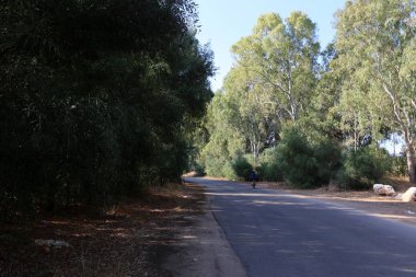 İsrail 'in kuzeyindeki dağlarda yol 