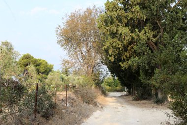 İsrail 'in kuzeyindeki dağlarda yol 