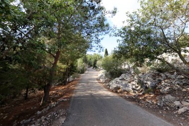 İsrail 'in kuzeyindeki dağlarda yol 