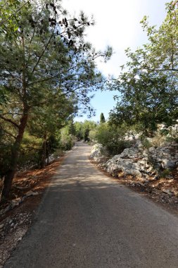 İsrail 'in kuzeyindeki dağlarda yol 