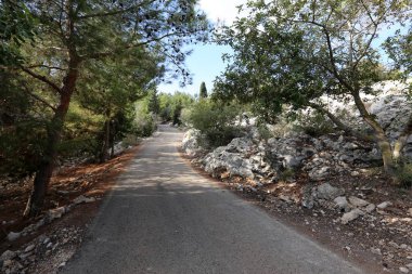 İsrail 'in kuzeyindeki dağlarda yol 