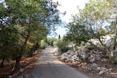 İsrail 'in kuzeyindeki dağlarda yol 