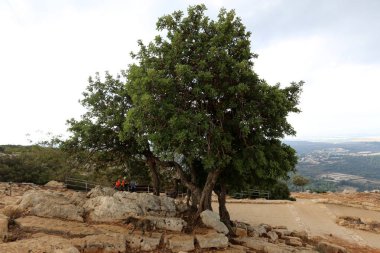 İsrail'in Kuzey dağlarında mağara kemer 