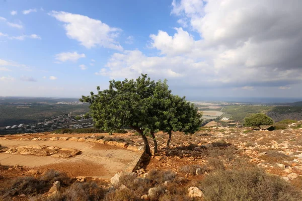 イスラエル共和国の北の山の洞窟アーチ — ストック写真