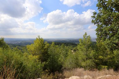 İsrail'in Kuzey Batı Celile dağ manzarası 