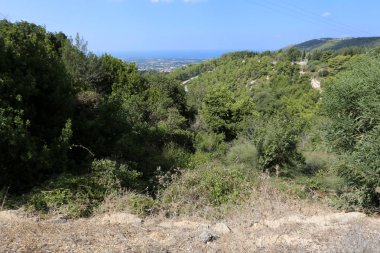 İsrail'in Kuzey Batı Celile dağ manzarası 