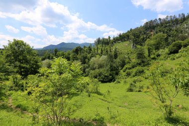 İsrail'in Kuzey Batı Celile dağ manzarası 