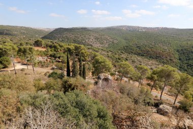 İsrail'in Kuzey Batı Celile dağ manzarası 