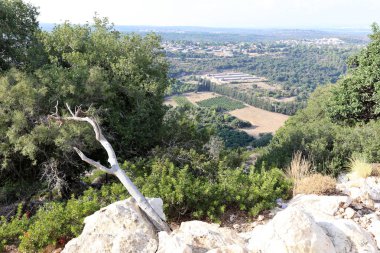 İsrail'in Kuzey Batı Celile dağ manzarası 