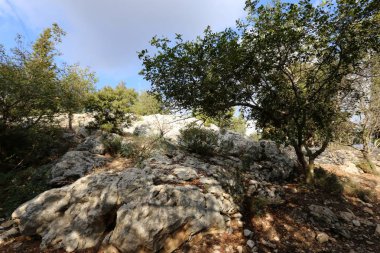 İsrail'in Kuzey Batı Celile dağ manzarası 