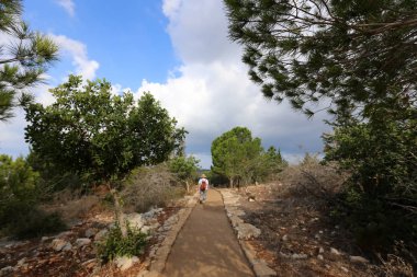 İsrail'in Kuzey Batı Celile dağ manzarası 