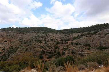 İsrail'in Kuzey Batı Celile dağ manzarası 