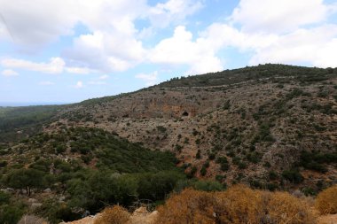 İsrail'in Kuzey Batı Celile dağ manzarası 