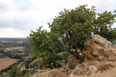 İsrail'in Kuzey Batı Celile dağ manzarası 