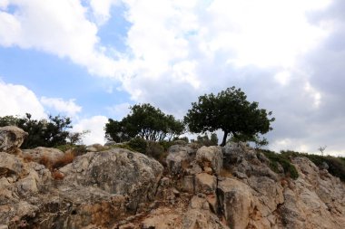 İsrail'in Kuzey Batı Celile dağ manzarası 