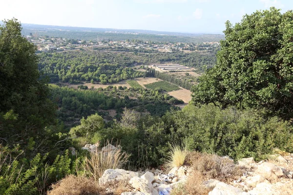 Berglandschaft Westlichen Galiläa Norden Israels — Stockfoto