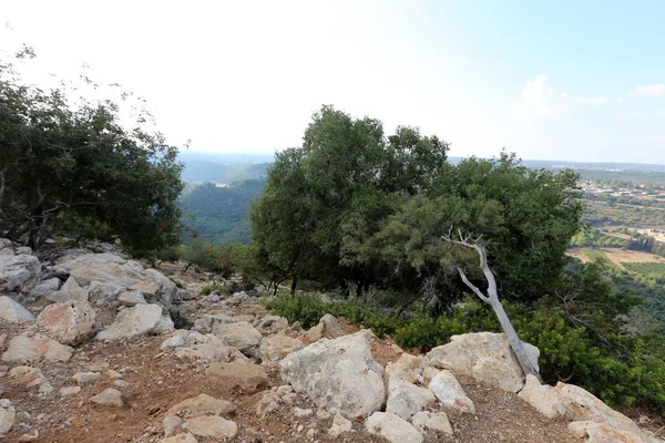 Paisagem Montanhosa Galileia Ocidental Norte Israel — Fotografia de Stock