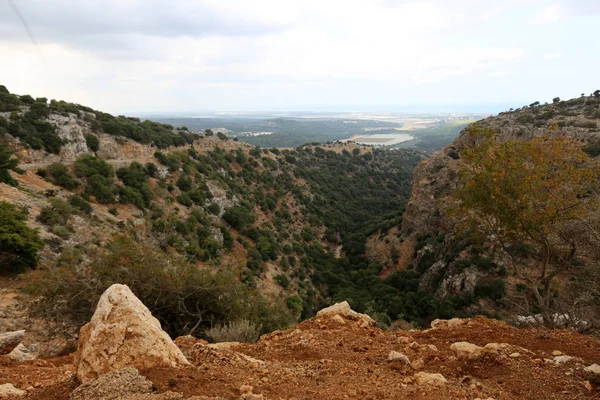 İsrail'in Kuzey Batı Celile dağ manzarası 