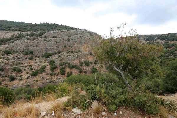 İsrail'in Kuzey Batı Celile dağ manzarası 