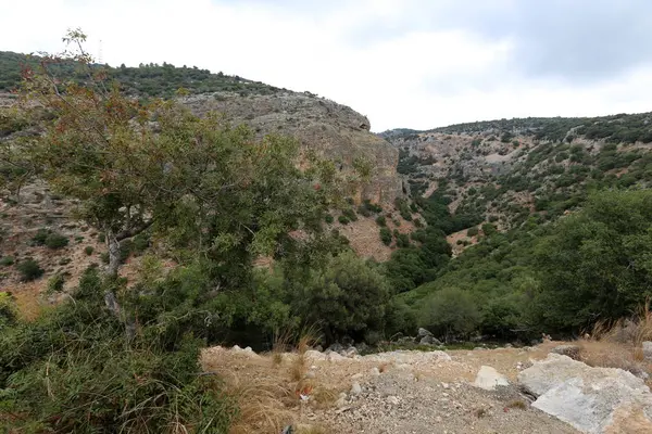 İsrail'in Kuzey Batı Celile dağ manzarası 