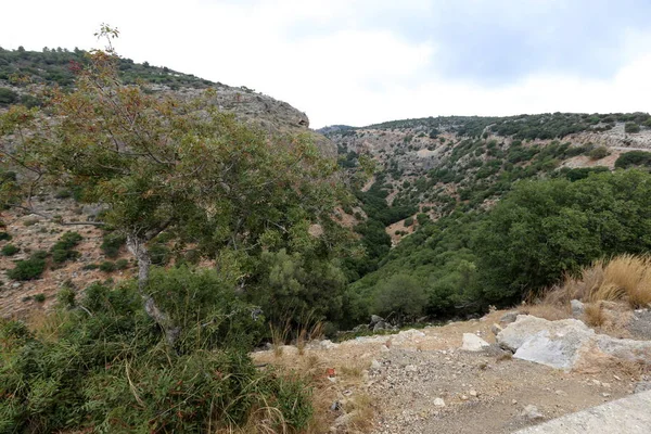 İsrail'in Kuzey Batı Celile dağ manzarası 