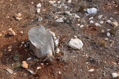 doku ve yapısı ahşap ve ahşap ürünleri 