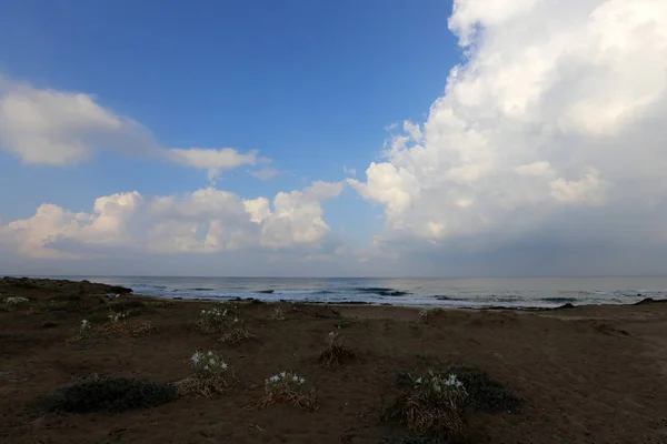 Costa Del Mar Mediterráneo Norte Israel — Foto de Stock